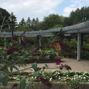 Meet your Posher, Yoland